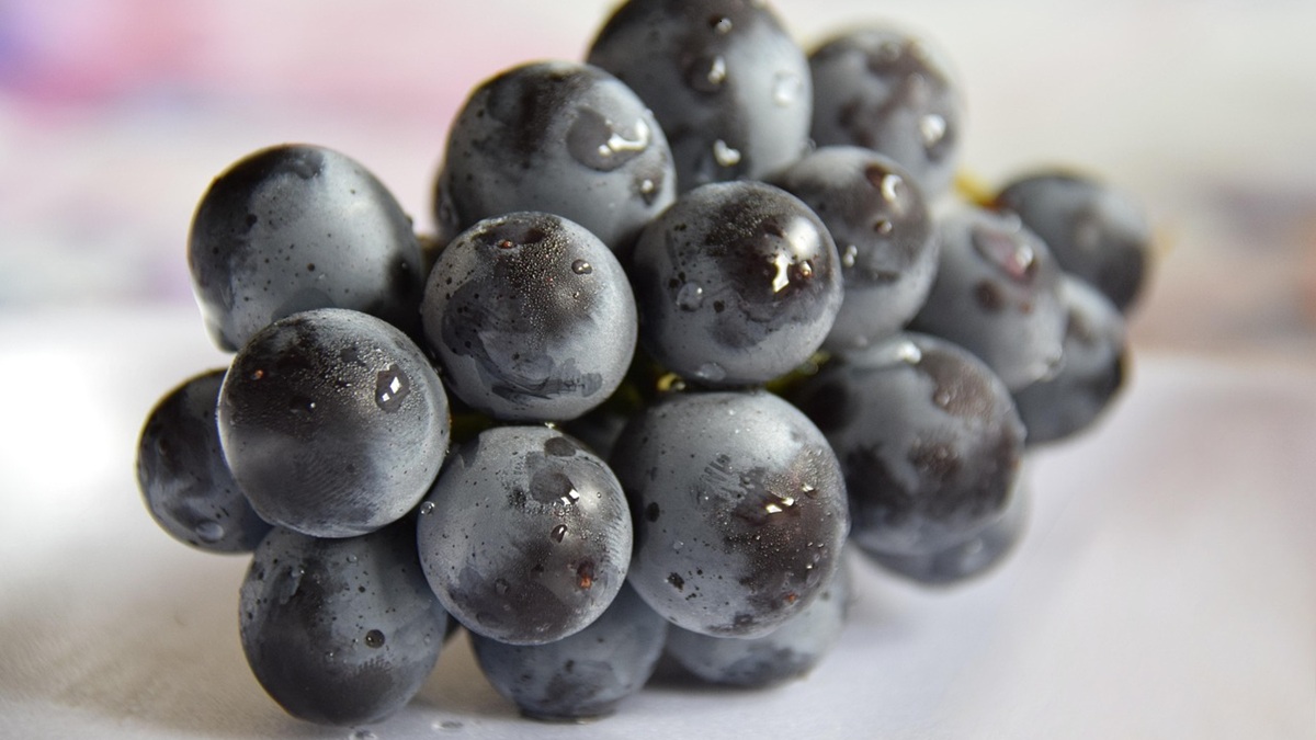 La armadura invisible. Cómo la cera cuticular de la fruta es clave para su vida poscosecha .jpg